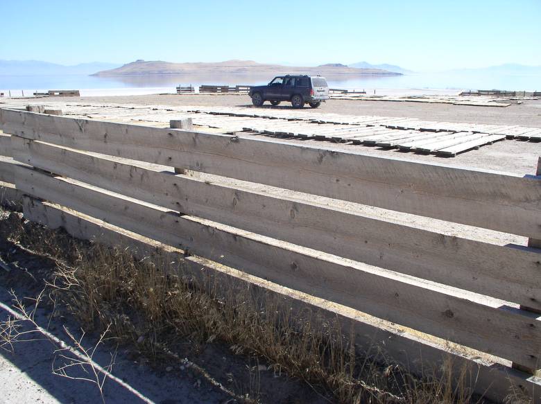 2" Alpine Fir Fencing